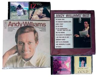 Andy Williams Vinyl LP’s; Hawaiian Music CDs; Princess Diana VHS, Magazines, Books, Etc.”
LOCATION: MEDIA ROOM