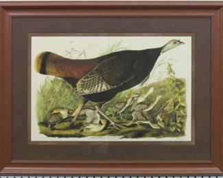 9006	HEN & YOUNG BY JOHN J. AUDUBON	32 X 24.5
