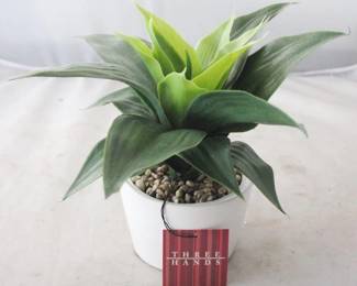 1365 - Faux Succulent by Three Hands 5" x 3" x 6.5"
