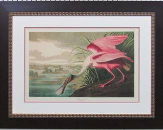 9007	ROSEATE SPOONBILL BY JOHN J. AUDUBON	35 X 27
