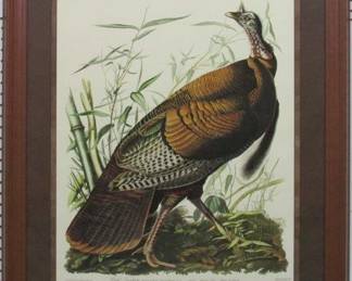 9005	WILD TURKEY BY JOHN J. AUDUBON	31 X 36
