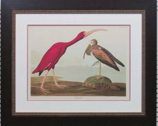 9010	SCARLET IBIS BY JOHN J. AUDUBON	33 X 27
