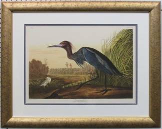 9009	BLUE CRANE OR HERON BY JOHN J. AUDUBON	32 X 26
