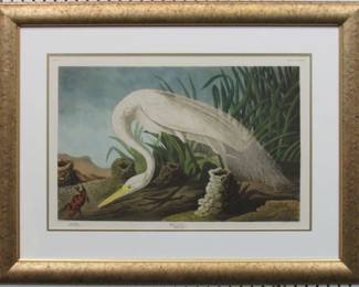 9008	WHITE HERON BY JOHN J. AUDUBON	34 X 26
