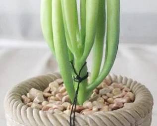 1226 - Artificial Plant by Three Hands 4.25" x 4.25" x 9"
