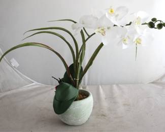 1443 - Faux Orchid - 5.25 x 5.25 x 20.5
