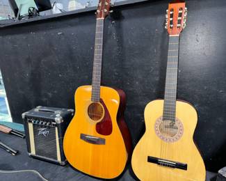Peavey Amp and Guitars Orlando Auction