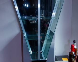 Contemporary triangular display case