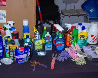 Various cleaning supplies
