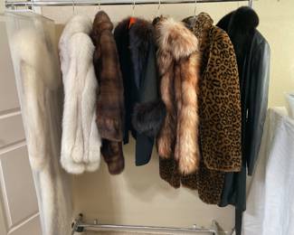 beautiful furs and faux furs