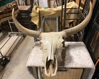 skull and horns