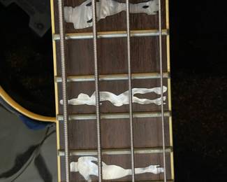 Mother of pearl custom neck of guitar