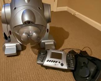 Sharper Image Robot