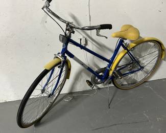 Free Spirit Women’s Blue & Yellow Bike