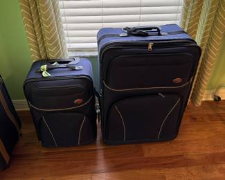 Matching blue luggage