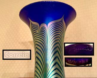 Large Pulled Feather Art Glass Case /with Artist paper by Steven Correia   
