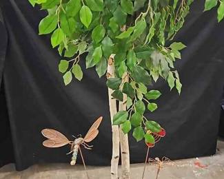 Ficus Plant 