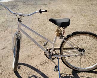 Schwinn Bicycle