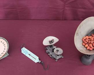 Assorted Scales 5 Pieces