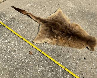 Kangaroo Skin 