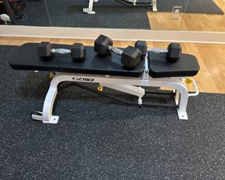 Exercise Cybex Bench