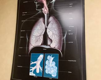 Medical posters 