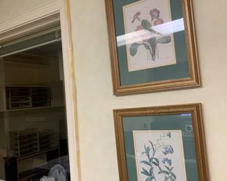 Framed prints 
