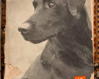 Life Magazine from 1938