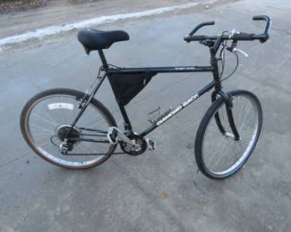 Lot 294. Diamond Back Sorrento boy's 15-speed 19" bicycle