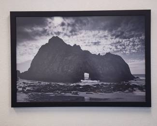 Large black and white acrylic art in frame (43 x 33). Much nicer in person