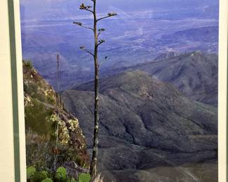 2000 Signed Limited Edition Photograph Q.T. LUONG "Big Bend National Park" 2/20