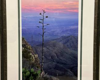 2000 Signed Limited Edition Photograph Q.T. LUONG "Big Bend National Park" 2/20
