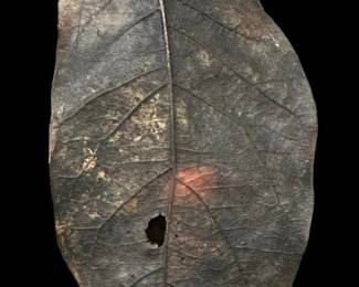 Vintage JOHN IVERSEN Signed Bronze Leaf Brooch 