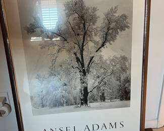 FRAMED PRINT
