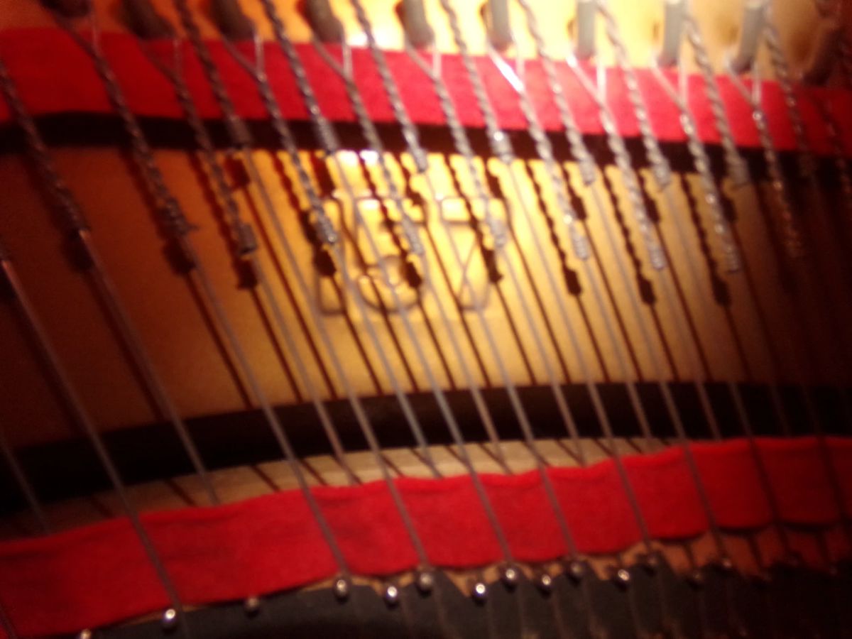 Fabulous Sale on Wolfe Bay Foley, Al. 50%... starts on 2/9/2024