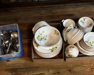 Antique Set Dishes