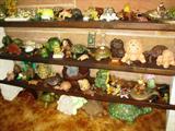 Turtle Collection