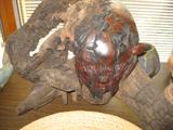 wood spirit