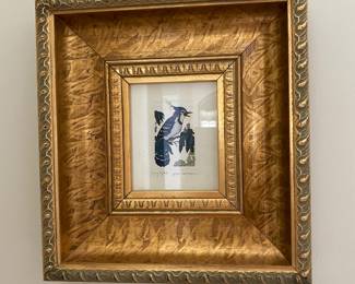 Gilt frame bird print - one of two