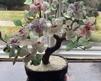 Jade tree