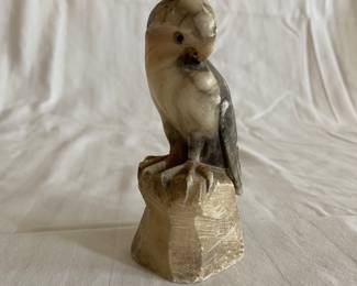 Alabaster parrot