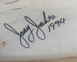 "Joey Jobes" Swan decoy
