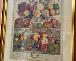 One of a PAIR ....great pictures!