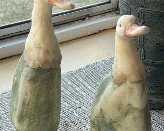 Wonderful pair of ducks!