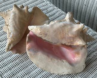 Can you hear the ocean??????