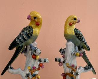 PAIR of colorful Parakeets!