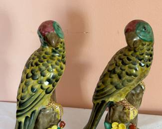 Pair of colorful Parakeets!