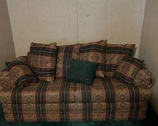 Sleeper sofa great shape