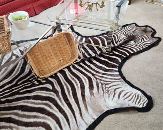 Zebra Hide Taxidermy Mount