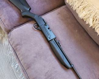 760 Pumpmaster Pellet Gun